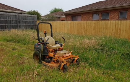 Slashing Tall Grass - MASTERPIECE GARDENSCAPES