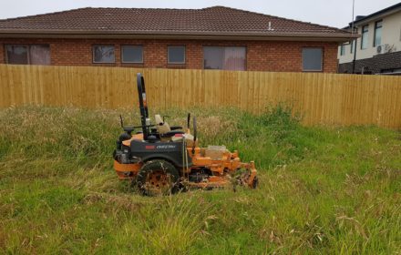 Mowing Tall Grass - MASTERPIECE GARDENSCAPES