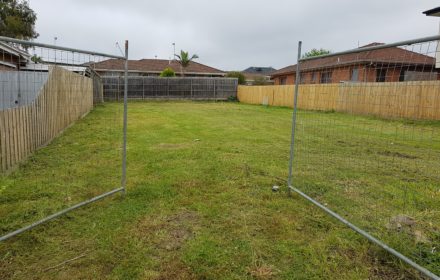 Slashing Tall Grass Result - MASTERPIECE GARDENSCAPES